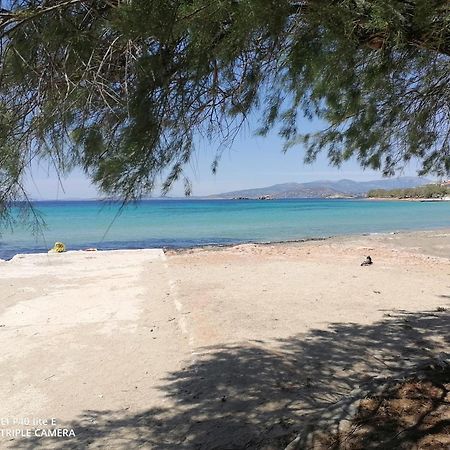 Beach N Fun Bbq Fireplace Saronida 部屋 写真